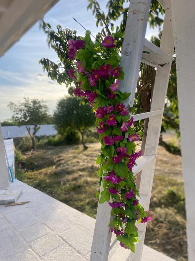 Casa Loredana Putignano Eksteriør billede