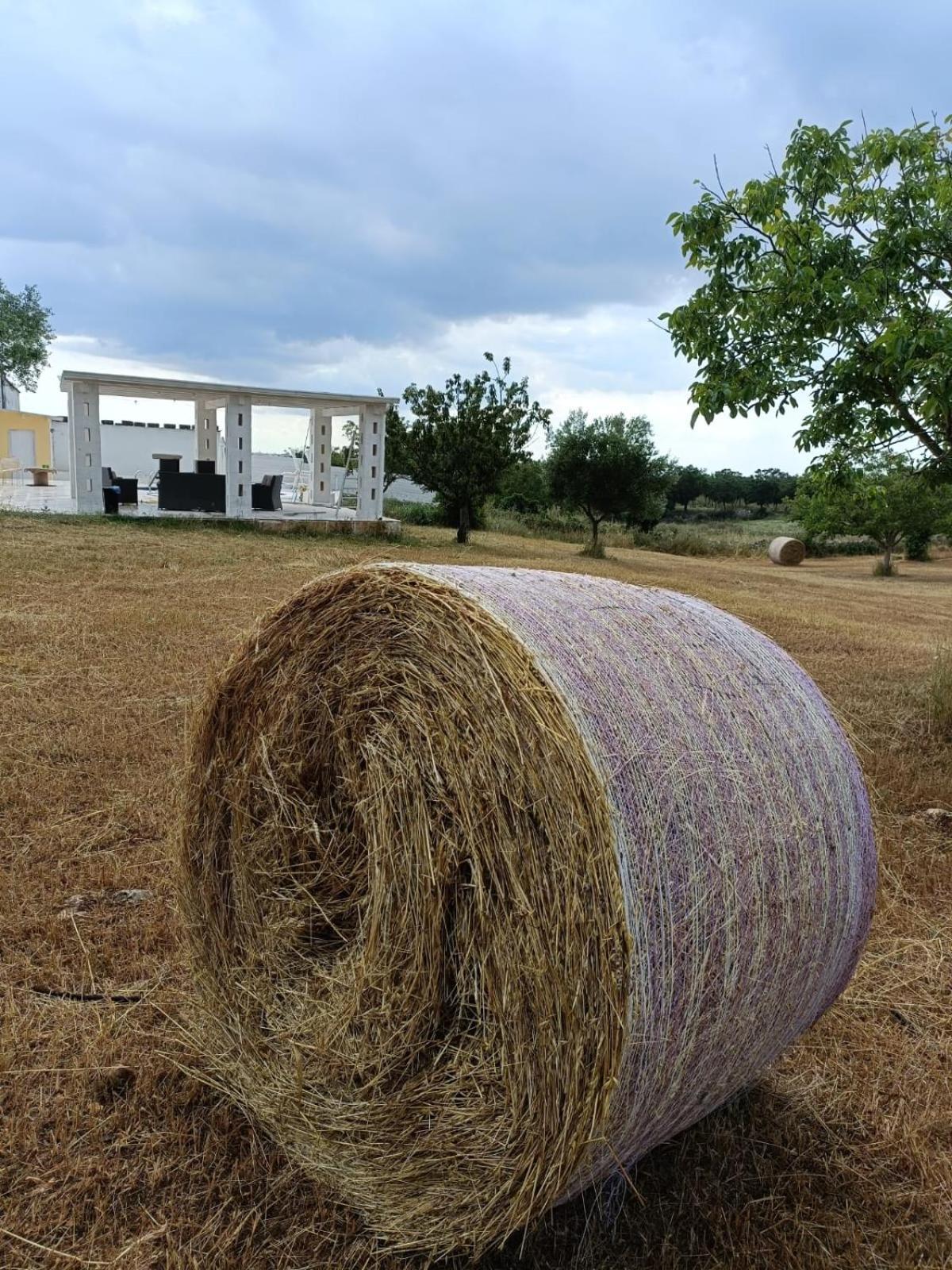 Casa Loredana Putignano Eksteriør billede